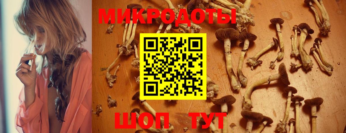 Псилоцибиновые грибы прущие грибы Гусь-Хрустальный