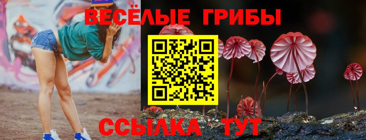 Гусь-Хрустальный  Псилоцибиновые грибы Cubensis  Вход с VPN 